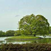 ヒメ日記 2025/05/12 15:07 投稿 みく ハピネス東京