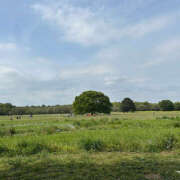 ヒメ日記 2025/05/14 12:37 投稿 みく ハピネス東京