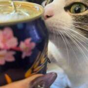 ヒメ日記 2025/05/11 16:00 投稿 まなか 熟女の風俗最終章 町田店