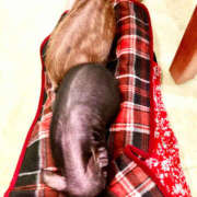 ヒメ日記 2026/03/26 19:30 投稿 うみ 奥鉄オクテツ東京店（デリヘル市場）