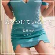 ヒメ日記 2025/07/07 08:05 投稿 しゅく 翡翠の夢