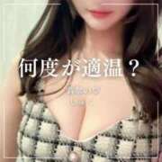 ヒメ日記 2025/07/08 20:15 投稿 しゅく 翡翠の夢