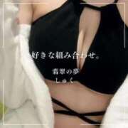 ヒメ日記 2025/07/11 08:15 投稿 しゅく 翡翠の夢