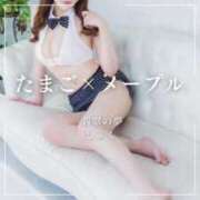 ヒメ日記 2025/07/13 20:05 投稿 しゅく 翡翠の夢