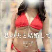 ヒメ日記 2025/07/17 20:35 投稿 しゅく 翡翠の夢