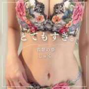 ヒメ日記 2025/07/21 08:15 投稿 しゅく 翡翠の夢