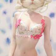 ヒメ日記 2025/06/14 10:15 投稿 響 翡翠の夢