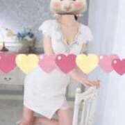 ヒメ日記 2025/10/11 19:35 投稿 響 翡翠の夢