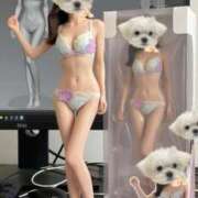 ヒメ日記 2025/11/02 09:25 投稿 響 翡翠の夢