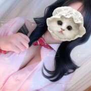 ヒメ日記 2025/09/03 12:03 投稿 まほ 秋葉原ハンドメイド