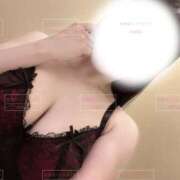 ヒメ日記 2026/02/12 16:17 投稿 まほ 秋葉原ハンドメイド