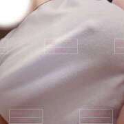 ヒメ日記 2026/04/03 14:18 投稿 まほ 秋葉原ハンドメイド