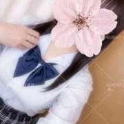 ヒメ日記 2026/04/07 14:13 投稿 まほ 秋葉原ハンドメイド