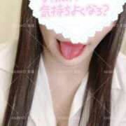 まほ おっきい 秋葉原ハンドメイド