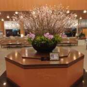 ヒメ日記 2025/03/06 15:02 投稿 はるこ 完熟ばなな神戸・三宮店