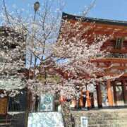 ヒメ日記 2025/04/05 08:25 投稿 はるこ 完熟ばなな神戸・三宮店