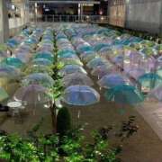 ヒメ日記 2025/05/17 08:08 投稿 はるこ 完熟ばなな神戸・三宮店