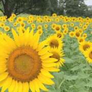 ヒメ日記 2025/07/21 19:15 投稿 はるこ 完熟ばなな神戸・三宮店