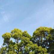 ヒメ日記 2025/09/30 08:36 投稿 はるこ 完熟ばなな神戸・三宮店