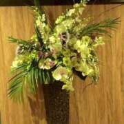 はるこ 嬉しい再会に感謝♪ 完熟ばなな神戸・三宮店