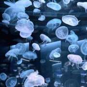 ヒメ日記 2025/12/14 13:25 投稿 はるこ 完熟ばなな神戸・三宮店