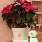 ヒメ日記 2025/12/15 23:30 投稿 はるこ 完熟ばなな神戸・三宮店