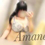 ヒメ日記 2025/09/01 11:42 投稿 あまね 熟女の風俗最終章 新宿店