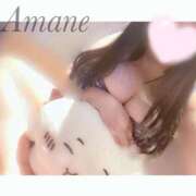 ヒメ日記 2025/09/16 08:42 投稿 あまね 熟女の風俗最終章 新宿店