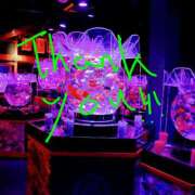 ヒメ日記 2025/10/11 19:35 投稿 あさこ 愛ロマンス