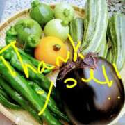 ヒメ日記 2026/10/06 10:03 投稿 あさこ 愛ロマンス
