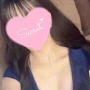 ヒメ日記 2025/04/19 09:08 投稿 加賀　れい やみつきエステ2nd札幌店