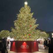 ヒメ日記 2024/12/17 16:47 投稿 あやか ミルクハート（ユメオト）