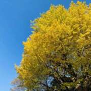 ヒメ日記 2024/12/21 09:54 投稿 あやか ミルクハート（ユメオト）