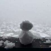 ヒメ日記 2025/03/08 15:45 投稿 あやか ミルクハート（ユメオト）