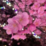 ヒメ日記 2025/04/03 20:12 投稿 あやか ミルクハート（ユメオト）