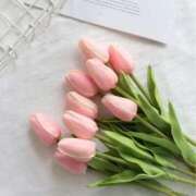 ヒメ日記 2025/11/19 06:19 投稿 いぶき 完熟ばなな 谷九店