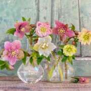 ヒメ日記 2025/11/20 09:49 投稿 いぶき 完熟ばなな 谷九店