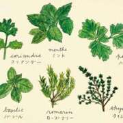 ヒメ日記 2025/11/23 11:17 投稿 いぶき 完熟ばなな 谷九店