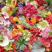 ヒメ日記 2025/11/23 13:10 投稿 いぶき 完熟ばなな 谷九店