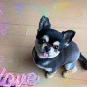 ヒメ日記 2025/12/01 11:49 投稿 いぶき 完熟ばなな 谷九店