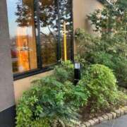 ヒメ日記 2025/12/03 16:49 投稿 いぶき 完熟ばなな 谷九店