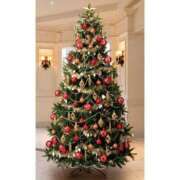 ヒメ日記 2025/12/05 17:49 投稿 いぶき 完熟ばなな 谷九店