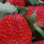 ヒメ日記 2025/12/21 12:26 投稿 いぶき 完熟ばなな 谷九店