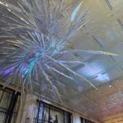 ヒメ日記 2025/12/24 14:39 投稿 いぶき 完熟ばなな 谷九店