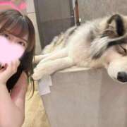 ヒメ日記 2025/08/22 16:02 投稿 林あむ JKリフレ東京 秋葉原本店