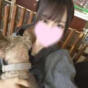 ヒメ日記 2025/09/18 14:25 投稿 林あむ JKリフレ東京 秋葉原本店