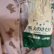 ヒメ日記 2026/03/27 14:48 投稿 しあん かりんと神田