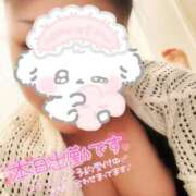 ヒメ日記 2026/02/01 09:08 投稿 めい 福岡ちゃんこ大牟田店