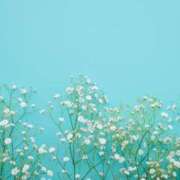 ヒメ日記 2025/09/24 09:07 投稿 ふわり 梅田アバンチュール