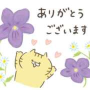 ヒメ日記 2025/12/13 07:12 投稿 ふわり 梅田アバンチュール